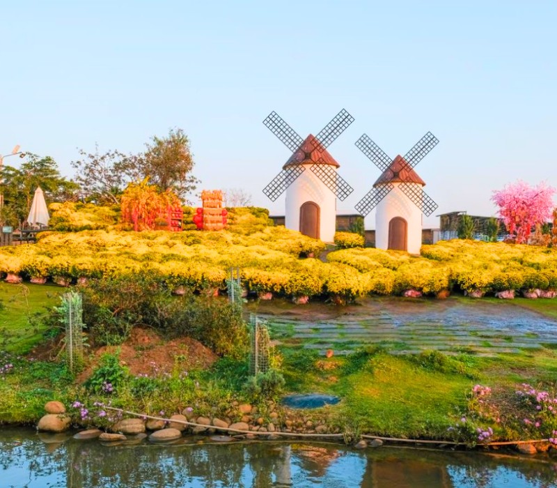 Mongo Land Dalat: Review A - Z giá vé và hoạt động vui chơi