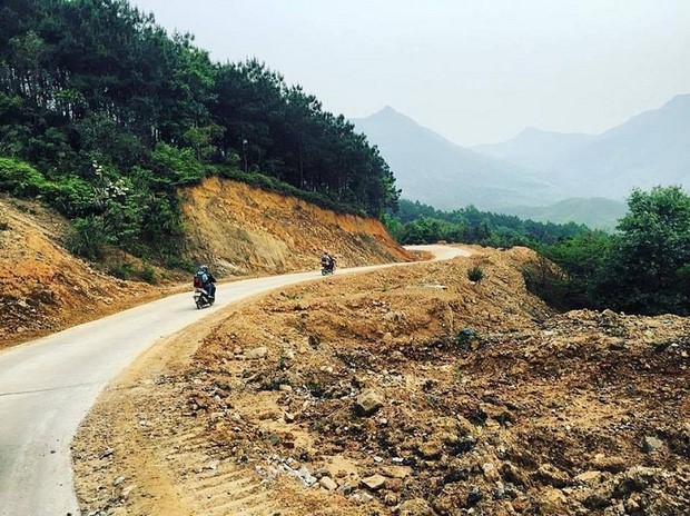 Đường đất dẫn lên khu cắm trại Đồng Cao giữa hai hàng cây xanh