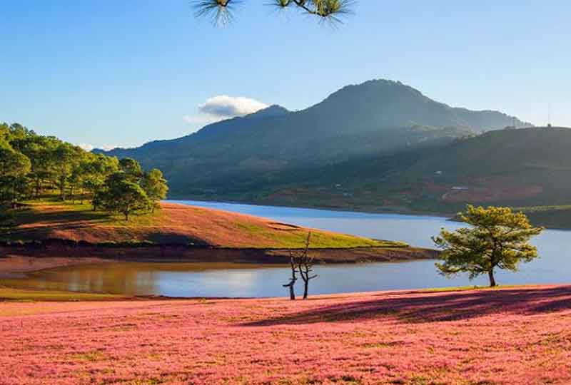 Di chuyển ở Đà Lạt