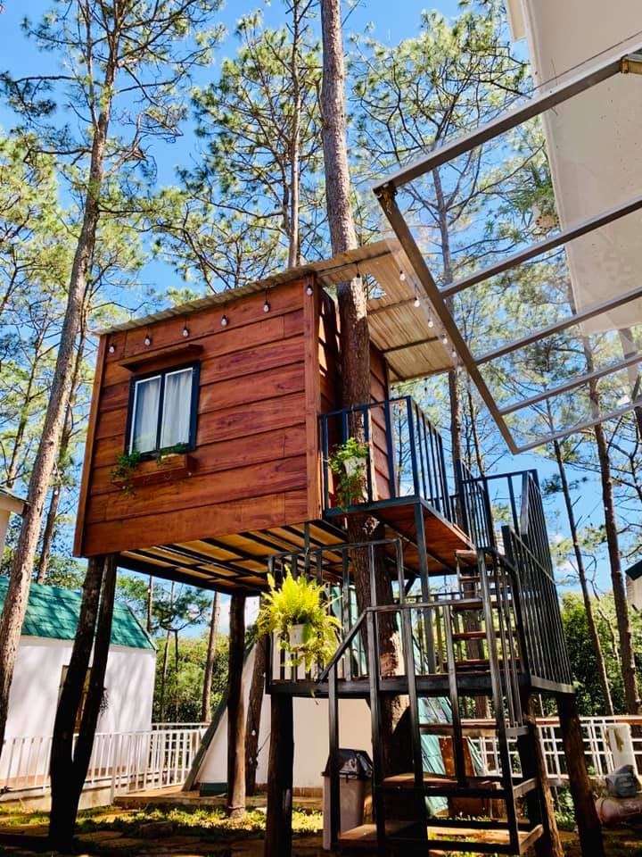 Không gian chan hòa ánh sáng tại Nắng Homestay