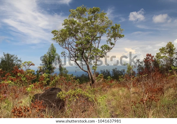 Biển Philippines mùa khô