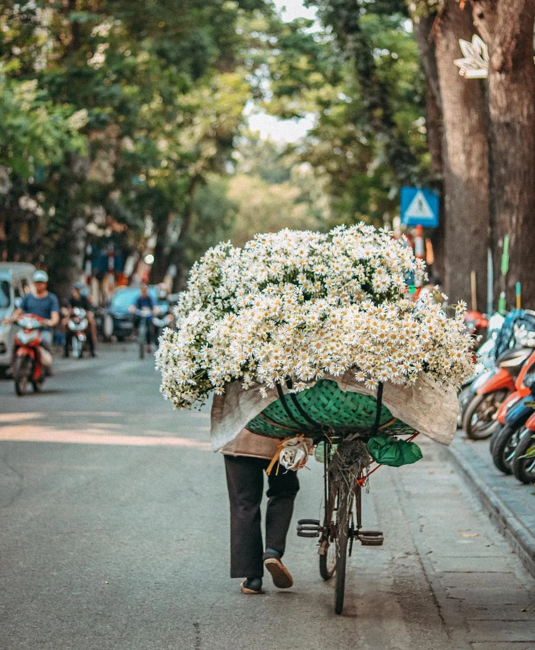 Awe walk trong thành phố Hà Nội