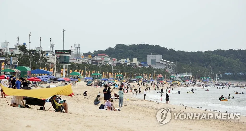 Mùa hè rực rỡ tại bãi biển Daecheon