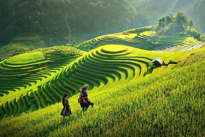 Vịnh, núi và ruộng bậc thang