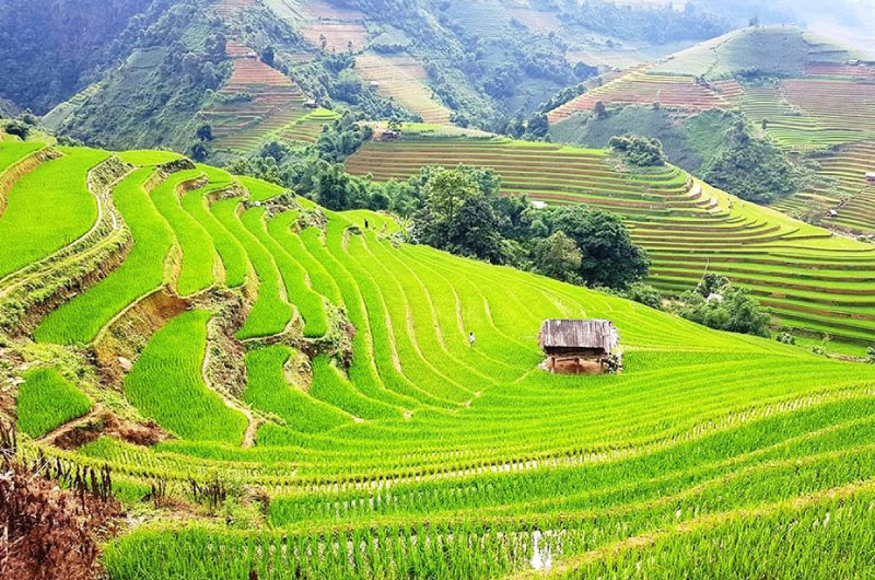 Kiểm tra thời tiết và chọn vị trí đón gió phù hợp giúp tăng tỷ lệ săn mây thành công