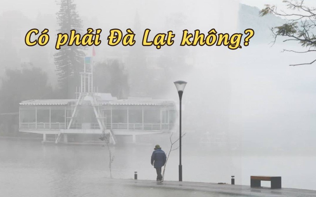 Đồi thông và sương sớm Đà Lạt