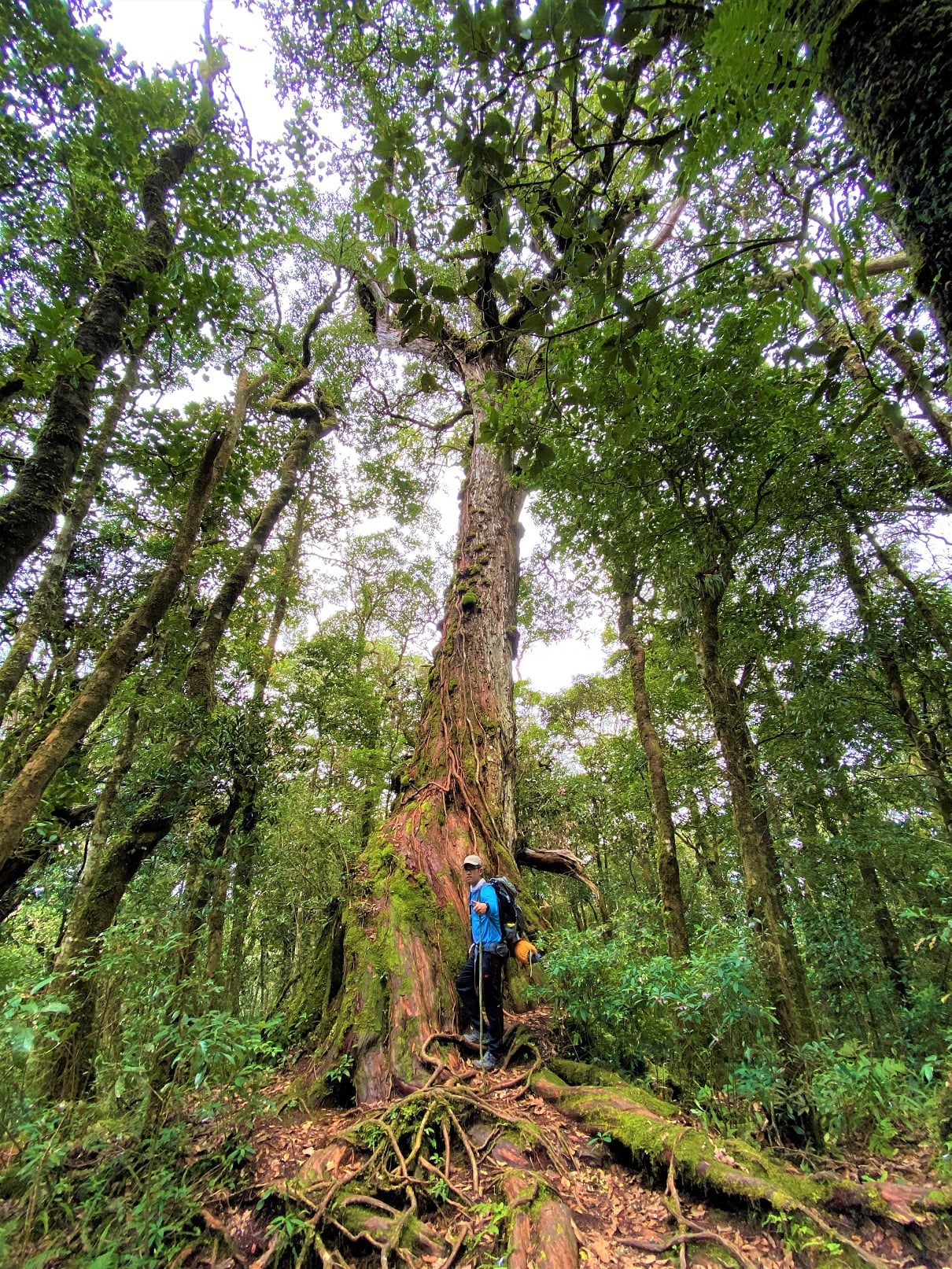 Tour Trekking Bidoup Núi Bà