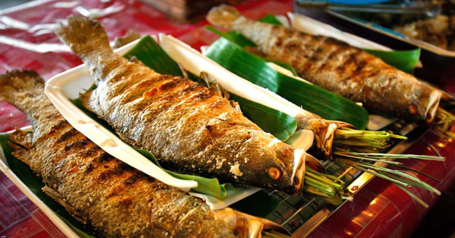 Cá hồi vân Sapa và cá suối nướng – Hương vị của nguồn nước lạnh