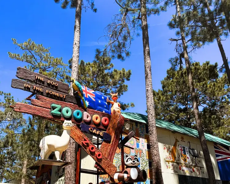 Trải nghiệm tương tác động vật tại Vườn thú ZooDoo