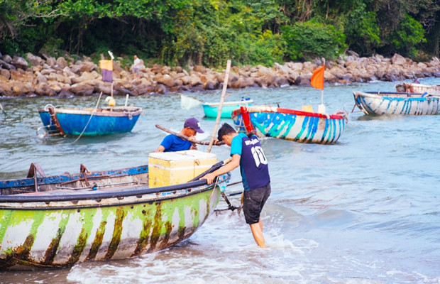 So sánh ba khu chợ lớn Đà Nẵng cho du khách