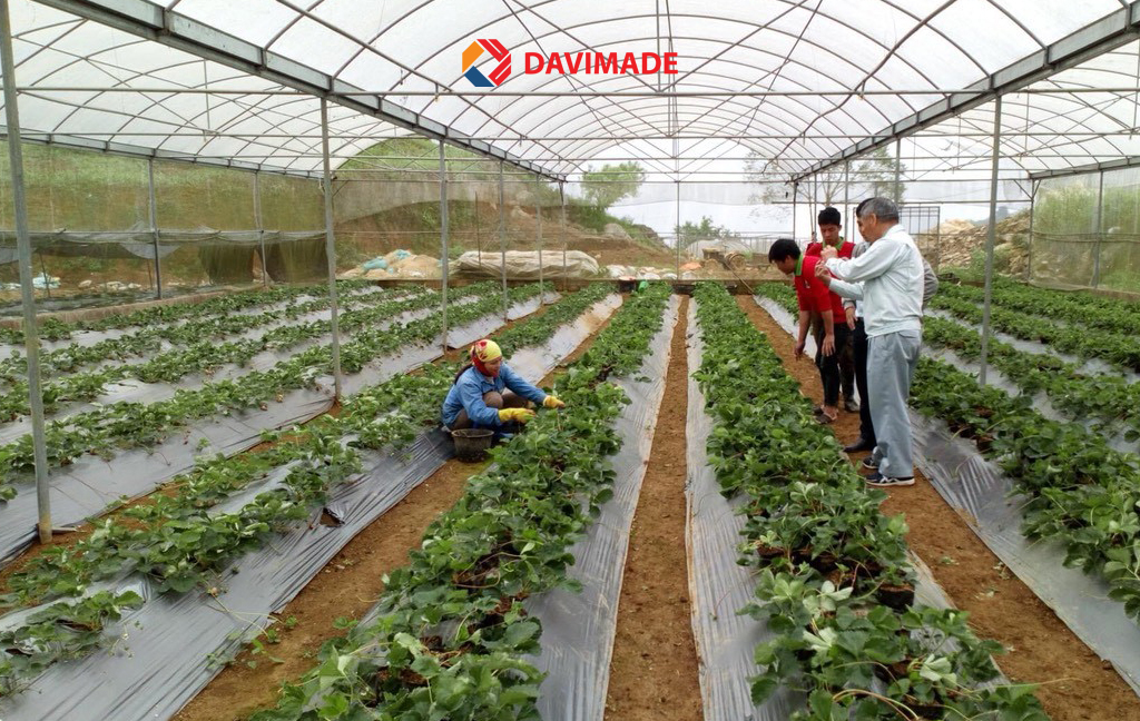 Đóng gói đặc sản cẩn thận