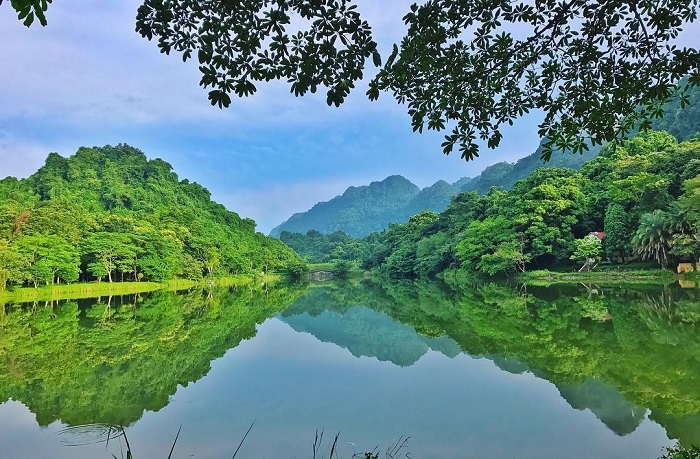 Rừng Cúc Phương