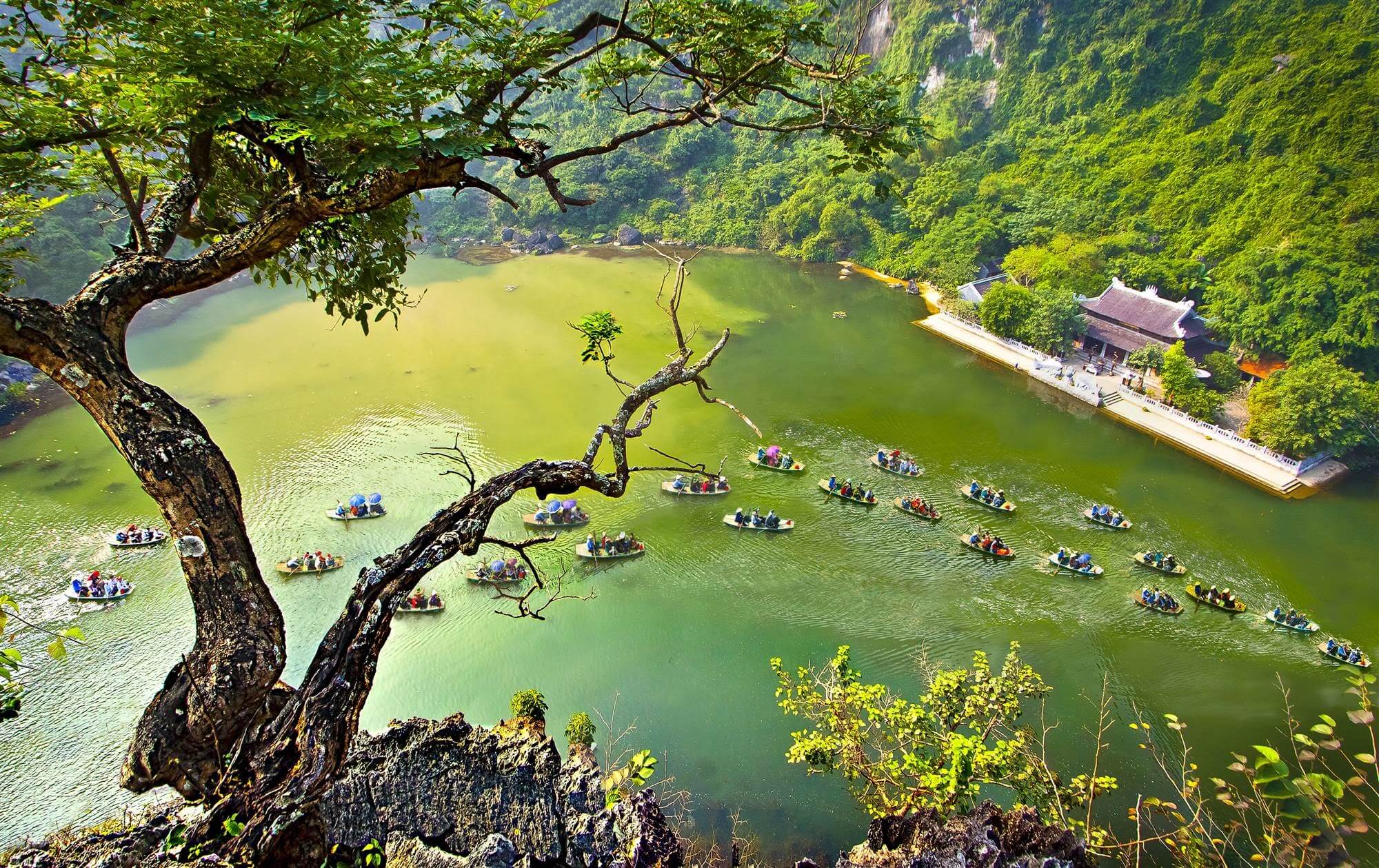 Pù Luông với ruộng bậc thang và thung lũng xanh mùa hè