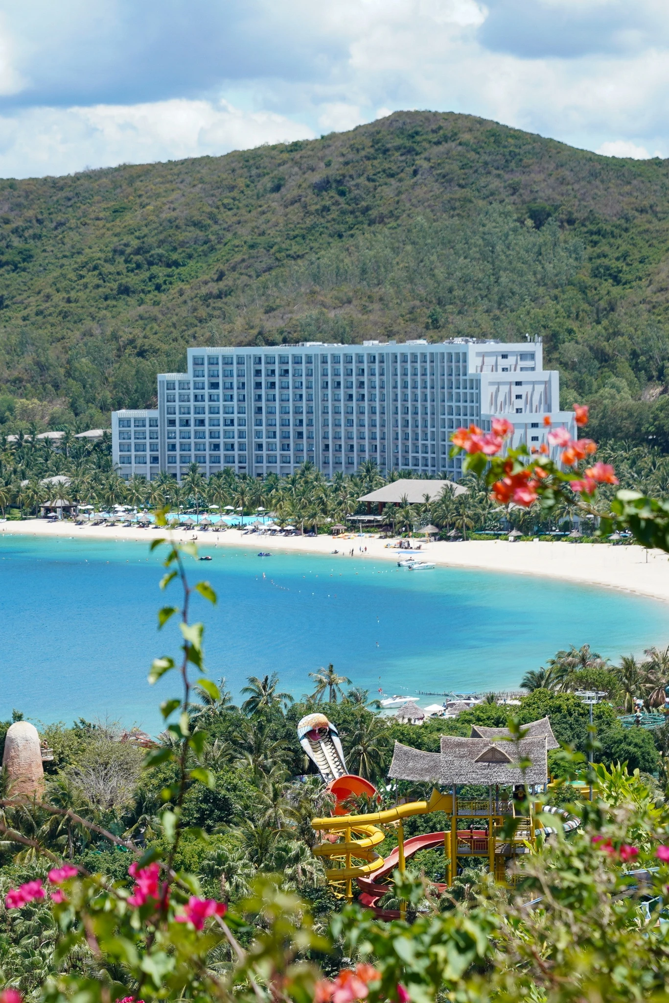 Đảo Hòn Tre