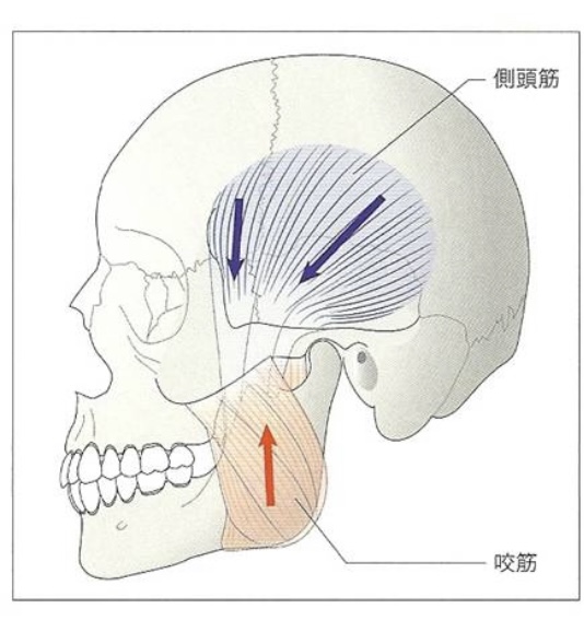 Ẩm thực sông nước miền Tây