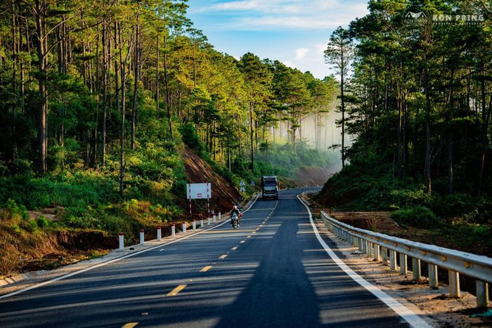 Rừng thông xanh bạt ngàn tại Măng Đen trải dài dưới ánh nắng ban mai