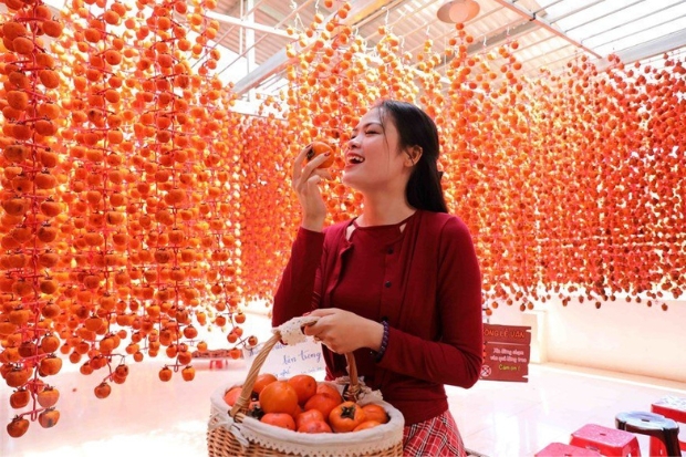 Hồng treo gió Đà Lạt — đặc sản mùa khô đặc trưng