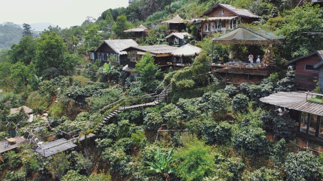 Thiết kế tổ chim khổng lồ vắt vẻo trên vách đá tại Cú Trên Cây homestay