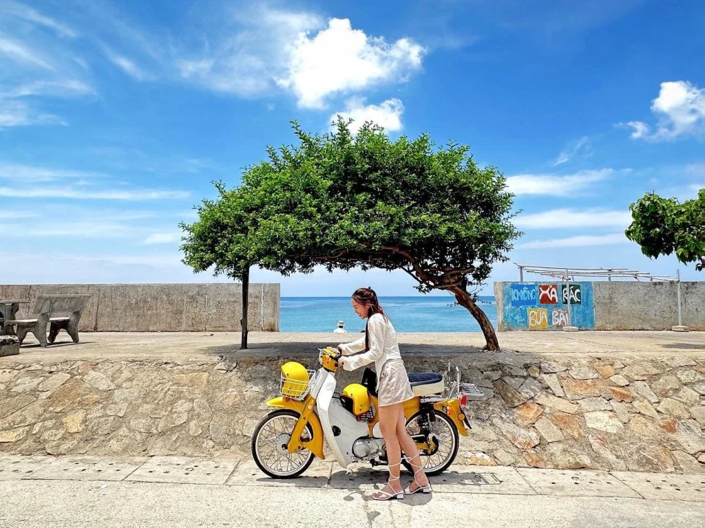 Địa điểm check in đảo Phú Quý cây cô đơn