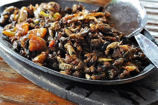Món Kamaro từ côn trùng trong ẩm thực đường phố Philippines