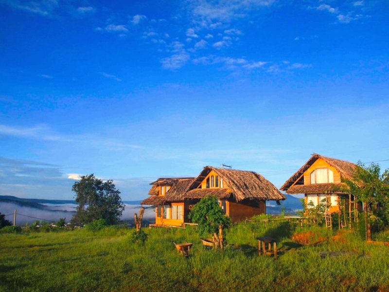 Mái ngói bình yên đan xen vườn hoa dại tại Bình Yên House homestay
