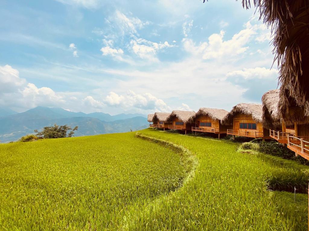 Hoang Su Phi Lodge giữa ruộng bậc thang Hoàng Su Phì