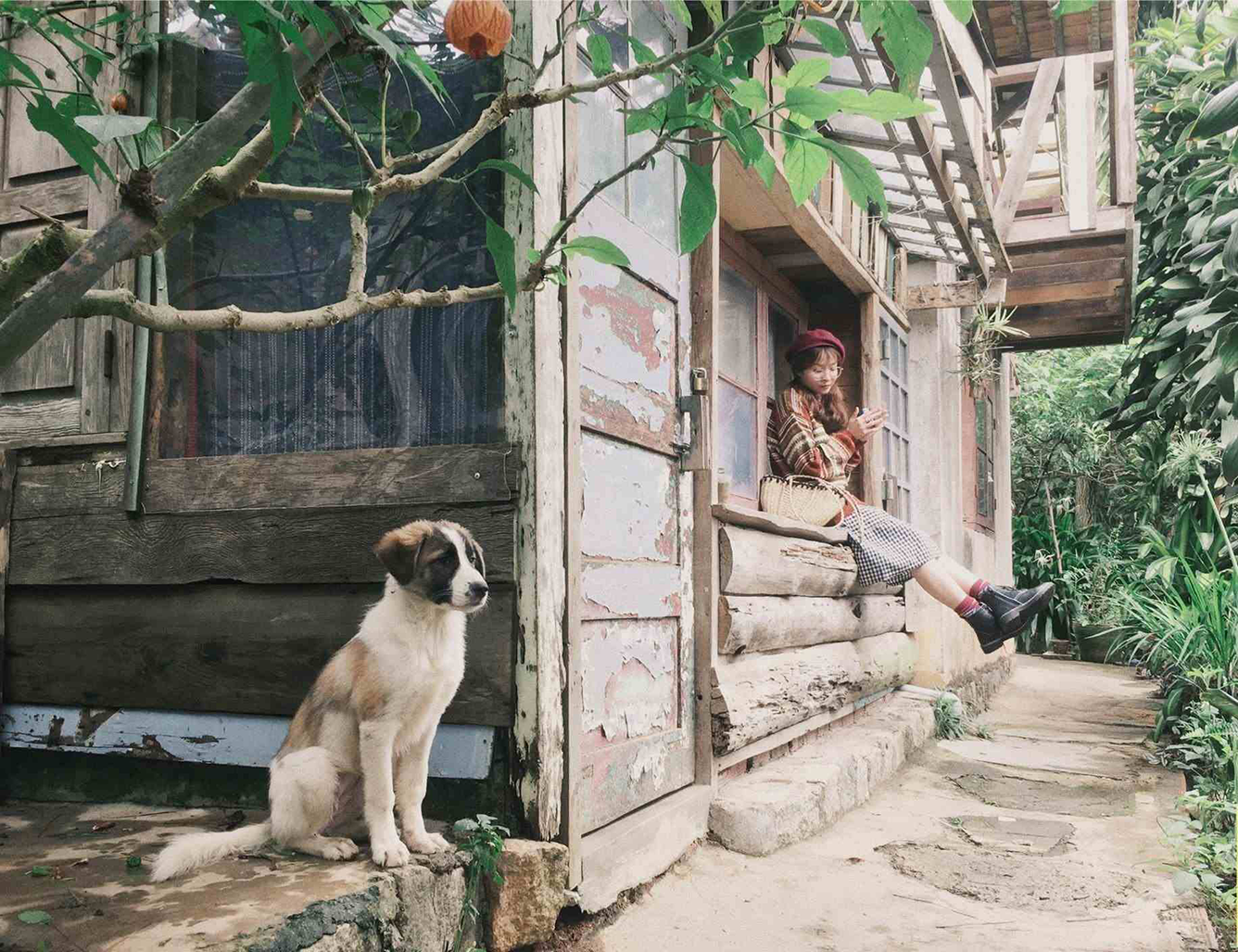 Căn nhà gỗ giữa xanh