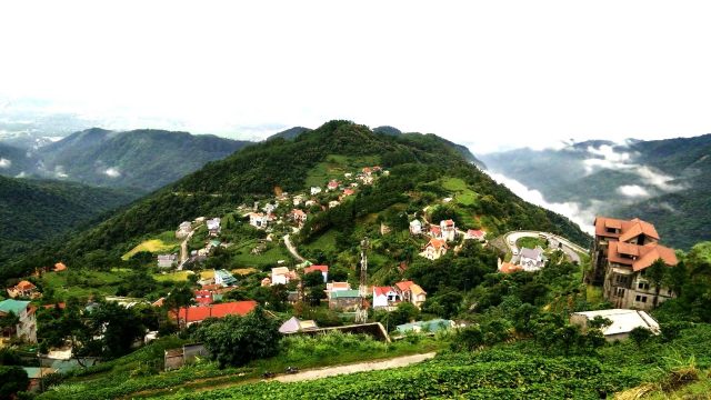 Tam Đảo