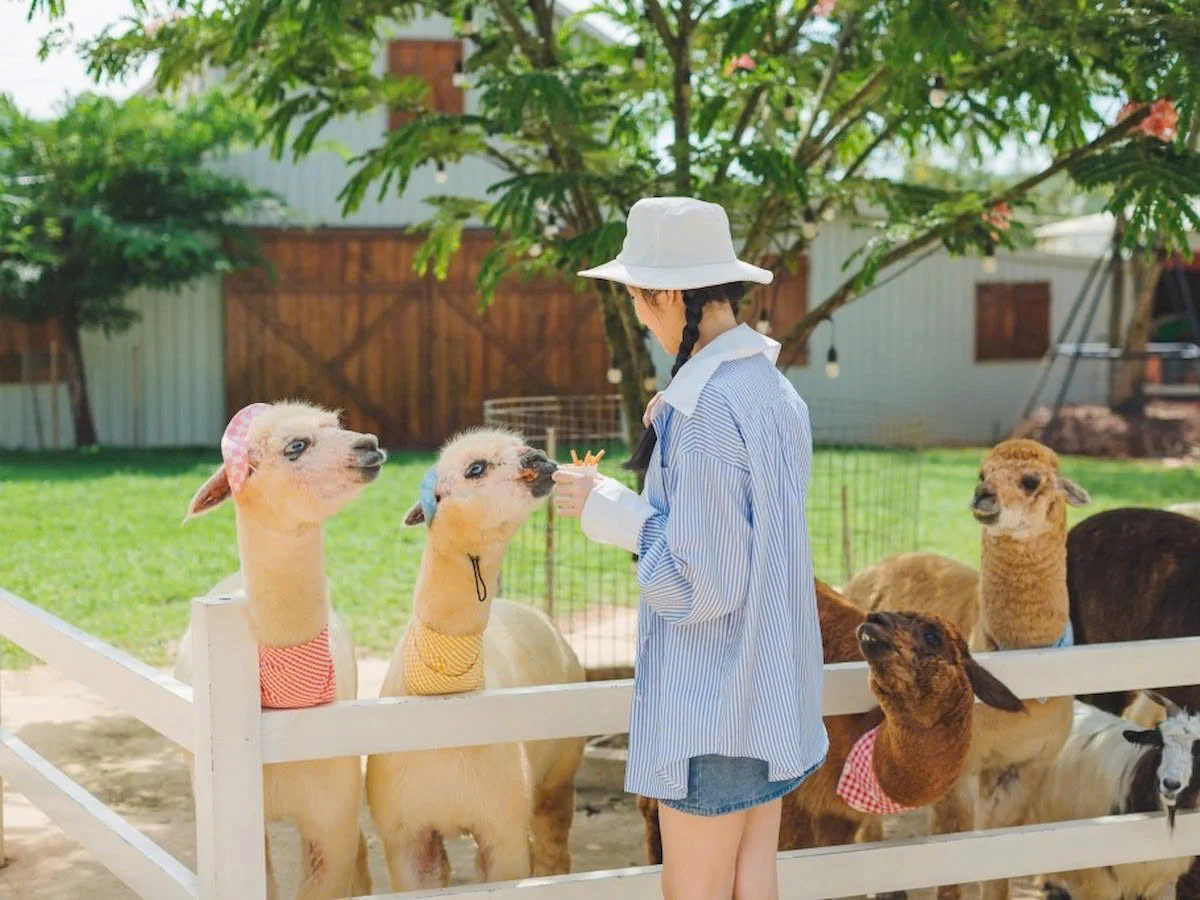 Khu tham quan ZooDoo thân thiện