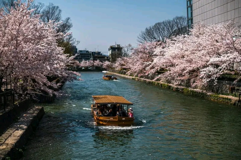 Phố cổ Kyoto thanh bình
