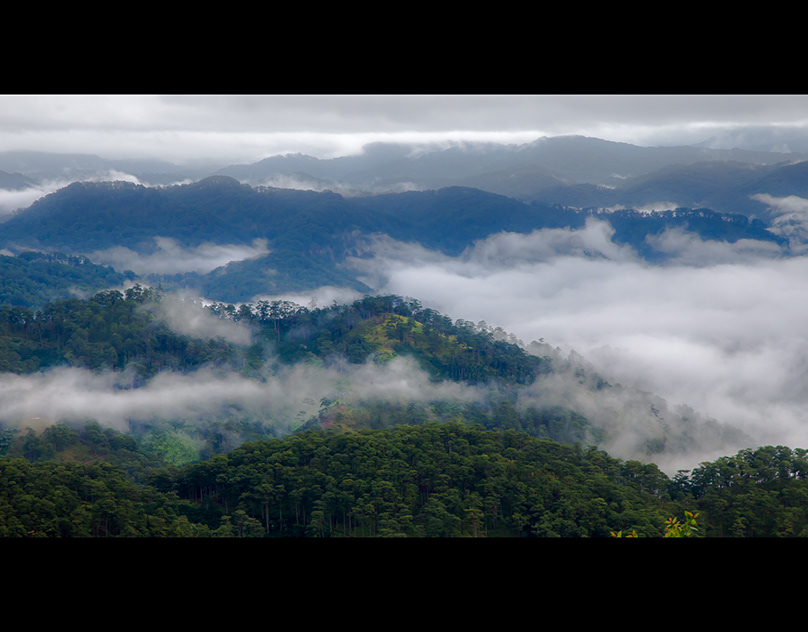 Mây sớm trên đồi cao