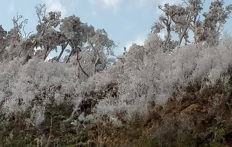 Địa hình núi đá vôi