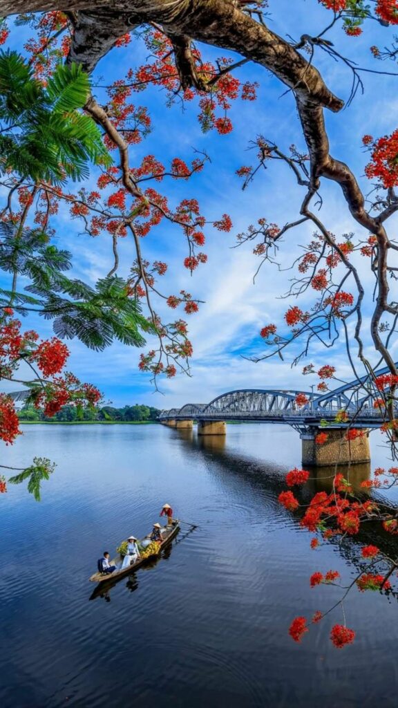 Cành hoa đỏ bên mặt hồ sông Hương tĩnh lặng chiều thu