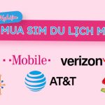 Hành lý mùa đông