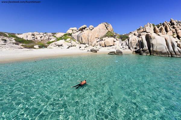 Lều trại tại Cù Lao Câu - cách lưu trú phổ biến khi ở lại qua đêm