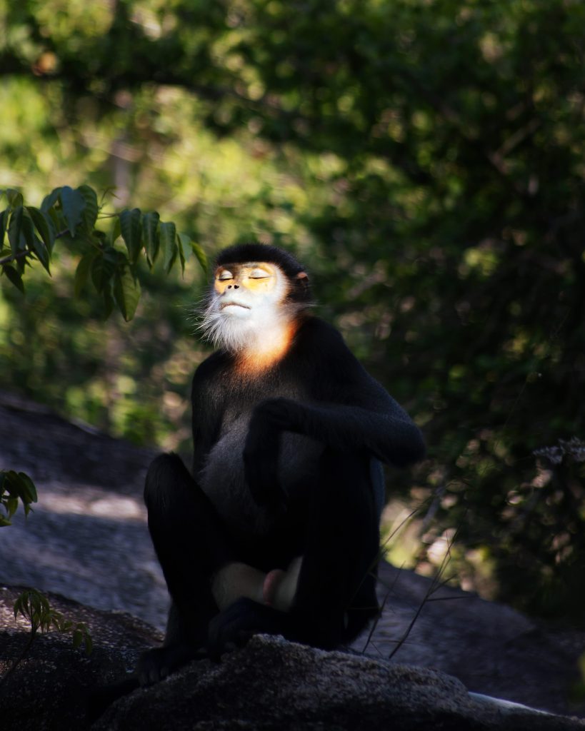 Không gian biển và rừng Côn Đảo