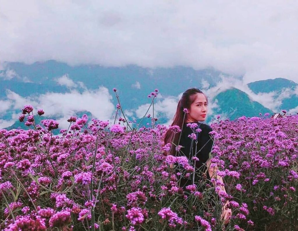 Check-in thung lũng Mường Hoa