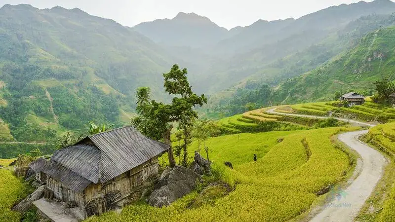 Tải ảnh phong cảnh làng quê đẹp cho máy tính 4