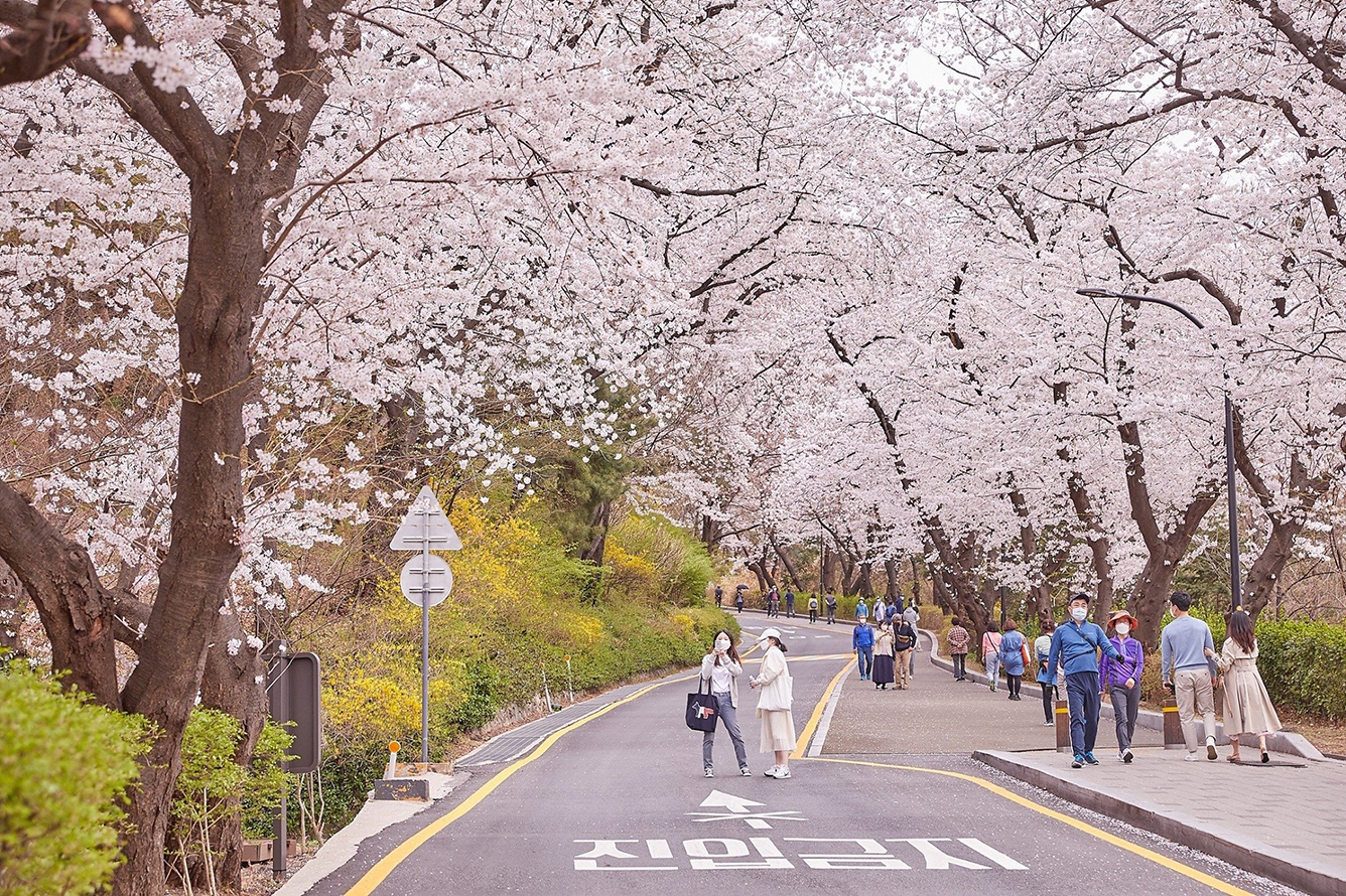 Trang phục đầu xuân