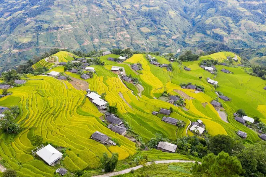 Ruộng bậc thang Hoàng Su Phì