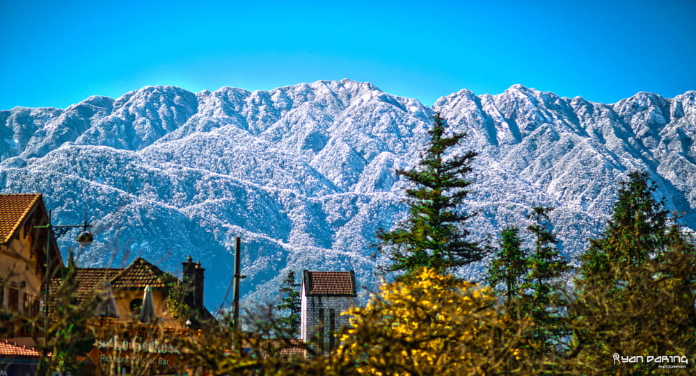Biển mây Tà Xùa cuồn cuộn như vùng núi Alps