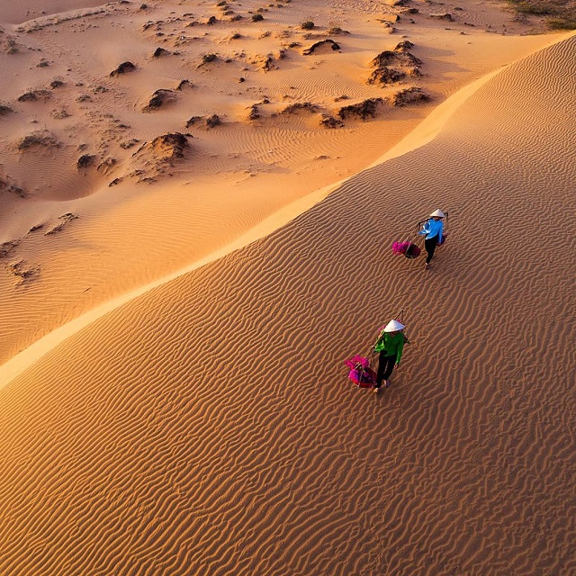 Đồi cát đỏ Mũi Né Phan Thiết dưới ánh nắng chiều tà, du khách trượt cát