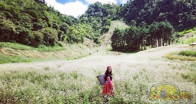 Hà Giang với cung đường đèo và cao nguyên đá