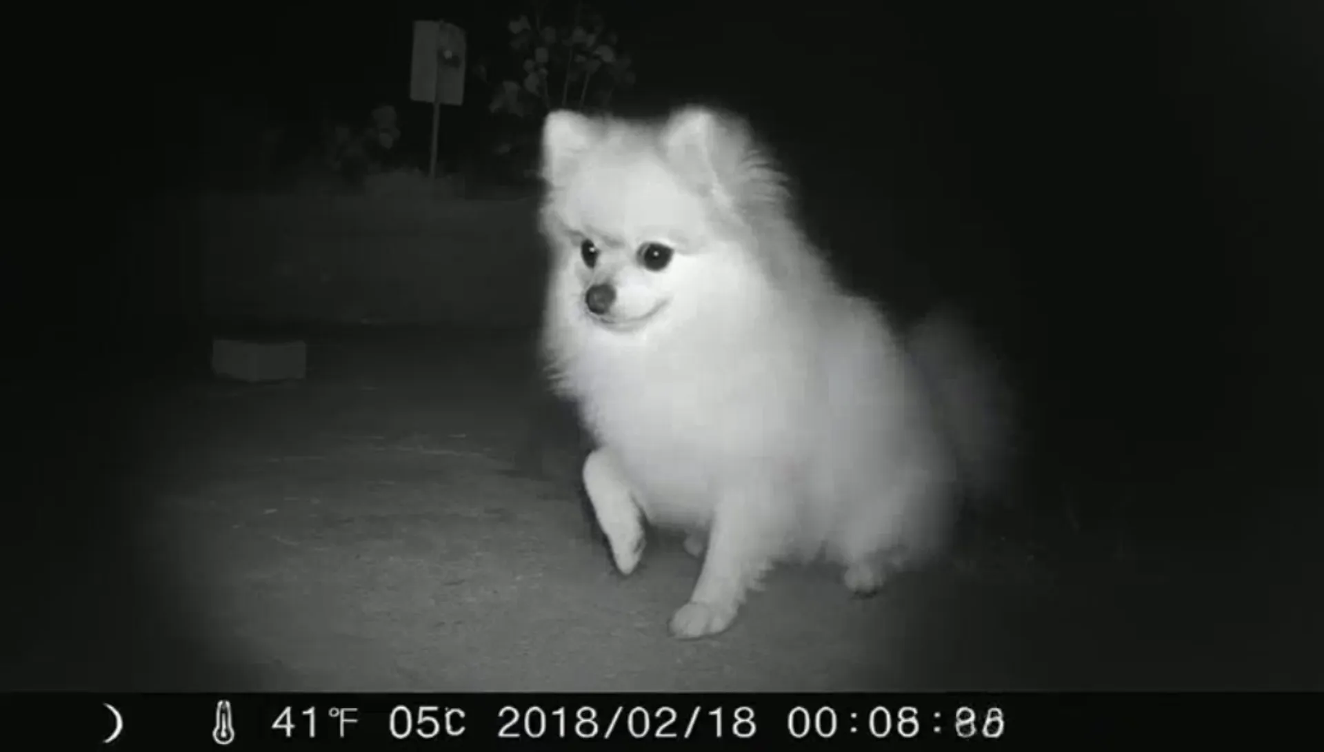 Quy trình tạo video từ ý tưởng đến xuất bản