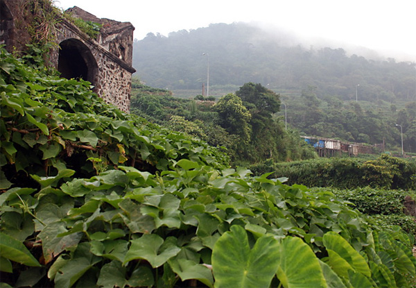 Cảnh đẹp miền Bắc mùa lễ