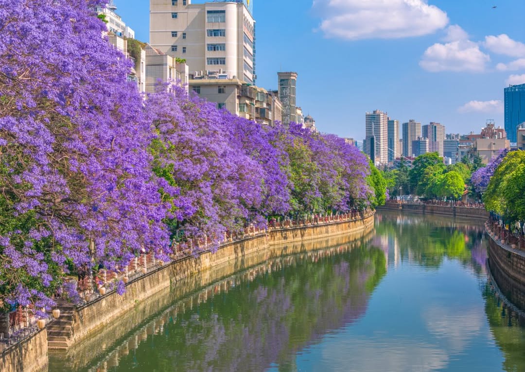 Vé máy bay giá rẻ đến Côn Minh tháng 4 - nguồn từ ivivu