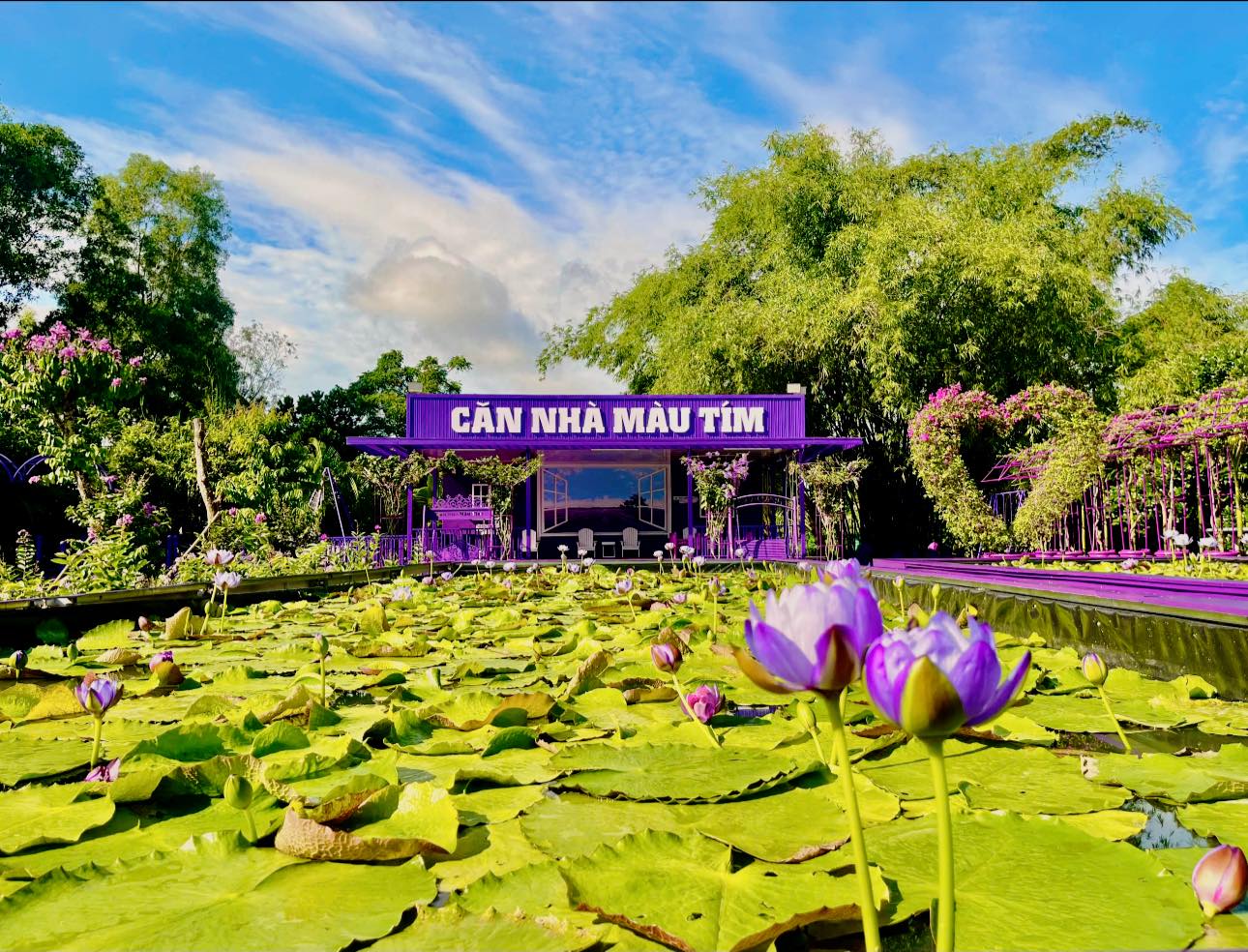 Căn Nhà Màu Tím - điểm check-in độc đáo tại Cần Thơ