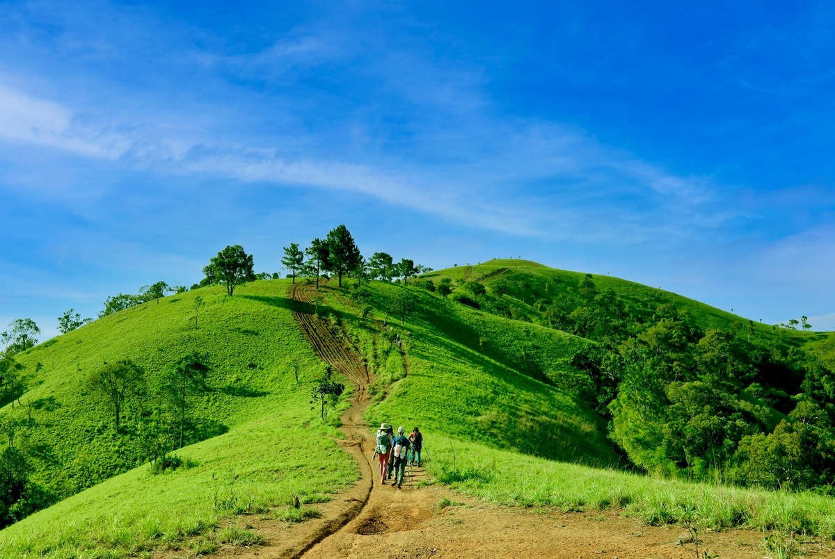 Tour Trekking Tà Năng - Phan Dũng