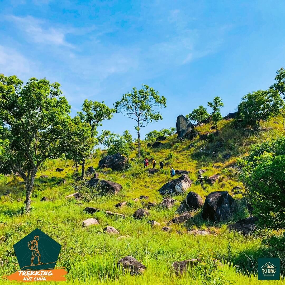 Tour trekking gần Sài Gòn thuộc cấp độ Trekking của Tổ Ong Adventure