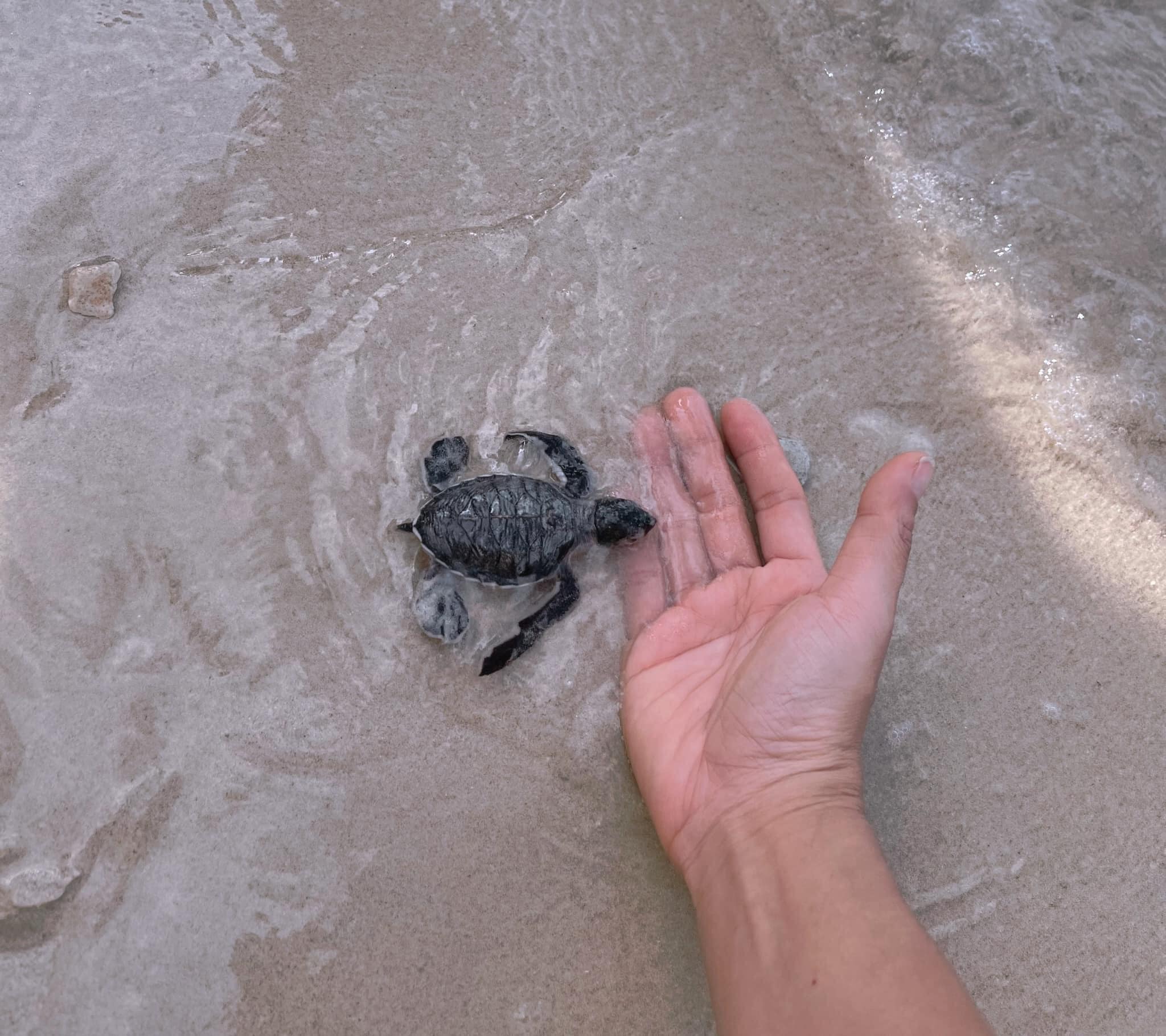 Lưu ý khi du lịch Côn Đảo